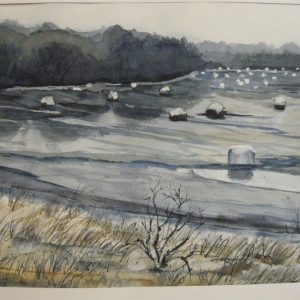 Kärevere suurvesi 1