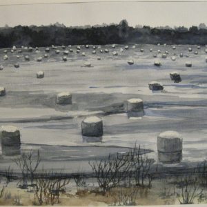 Kärevere suurvesi 2