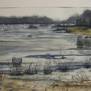 Kärevere suurvesi 3